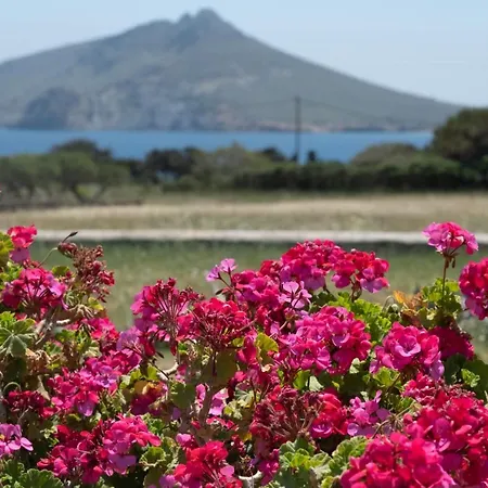 Vent D'est, Isterni, Paros Holiday home *